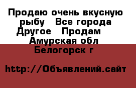 Продаю очень вкусную рыбу - Все города Другое » Продам   . Амурская обл.,Белогорск г.